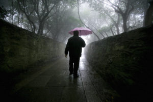 pluie sur le chemin